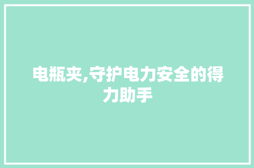 电瓶夹,守护电力安全的得力助手 WordPress教程