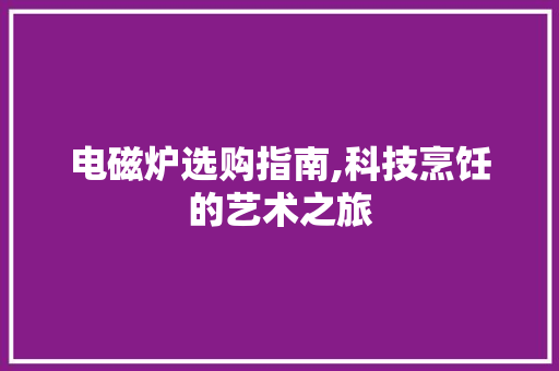 电磁炉选购指南,科技烹饪的艺术之旅 服务器/数据库