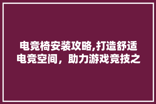 电竞椅安装攻略,打造舒适电竞空间，助力游戏竞技之路 WordPress教程