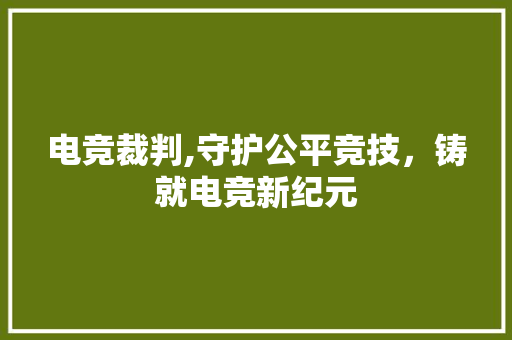 电竞裁判,守护公平竞技，铸就电竞新纪元 SEO教程