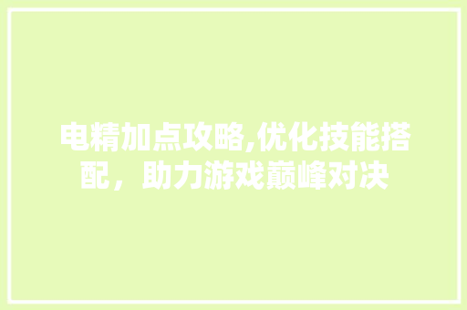 电精加点攻略,优化技能搭配，助力游戏巅峰对决 Web前端
