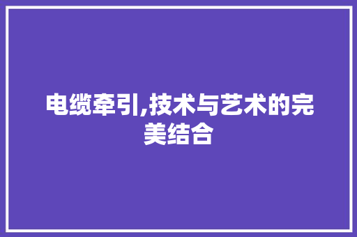 电缆牵引,技术与艺术的完美结合 友链在线