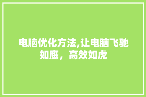 电脑优化方法,让电脑飞驰如鹰，高效如虎 WordPress教程