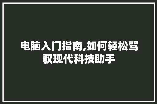 电脑入门指南,如何轻松驾驭现代科技助手 Web前端