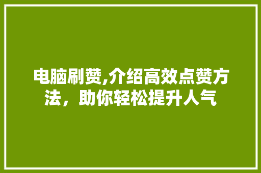 电脑刷赞,介绍高效点赞方法，助你轻松提升人气