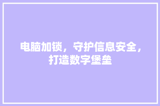 电脑加锁，守护信息安全，打造数字堡垒