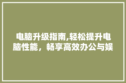 电脑升级指南,轻松提升电脑性能，畅享高效办公与娱乐体验