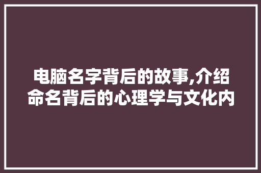 电脑名字背后的故事,介绍命名背后的心理学与文化内涵
