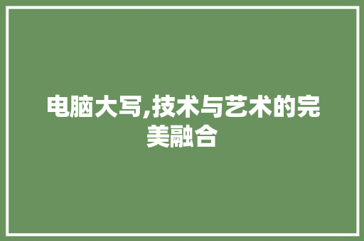 电脑大写,技术与艺术的完美融合