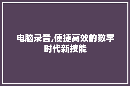 电脑录音,便捷高效的数字时代新技能 Web前端