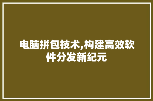 电脑拼包技术,构建高效软件分发新纪元