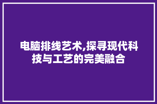 电脑排线艺术,探寻现代科技与工艺的完美融合