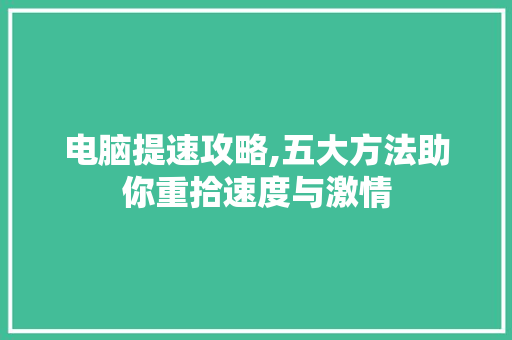 电脑提速攻略,五大方法助你重拾速度与激情 Web前端