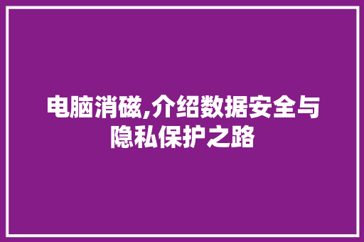 电脑消磁,介绍数据安全与隐私保护之路