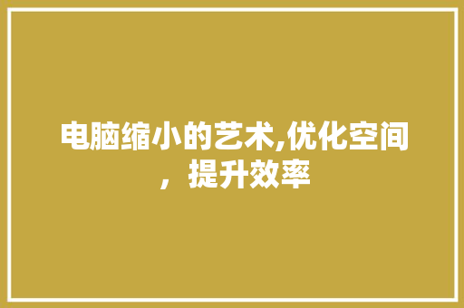 电脑缩小的艺术,优化空间，提升效率