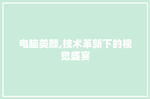 电脑美颜,技术革新下的视觉盛宴