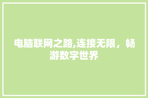 电脑联网之路,连接无限，畅游数字世界