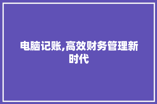 电脑记账,高效财务管理新时代
