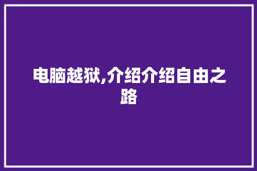 电脑越狱,介绍介绍自由之路