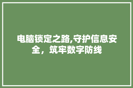 电脑锁定之路,守护信息安全，筑牢数字防线