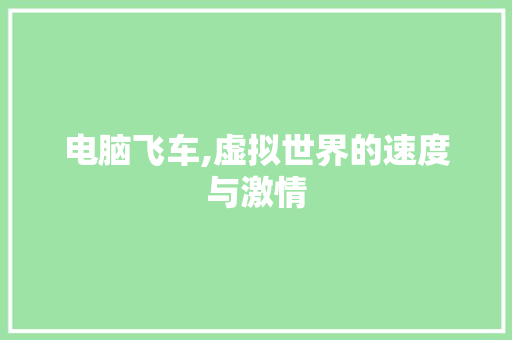 电脑飞车,虚拟世界的速度与激情
