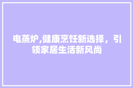 电蒸炉,健康烹饪新选择，引领家居生活新风尚