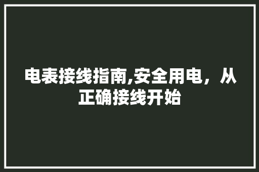 电表接线指南,安全用电，从正确接线开始