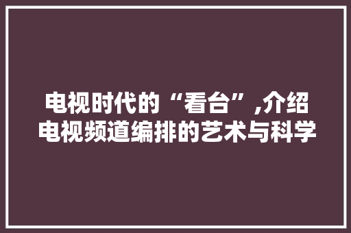 电视时代的“看台”,介绍电视频道编排的艺术与科学