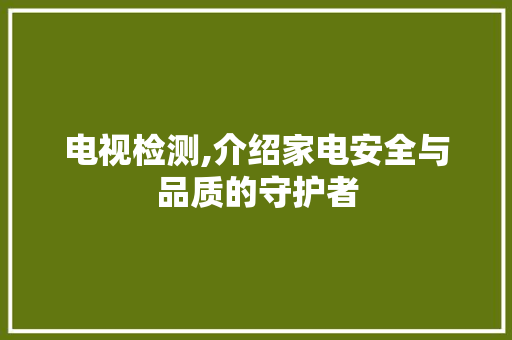 电视检测,介绍家电安全与品质的守护者