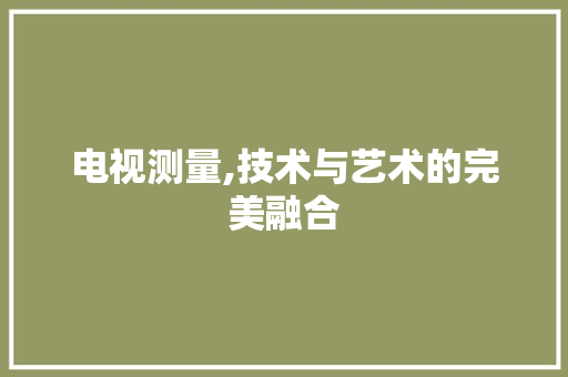 电视测量,技术与艺术的完美融合