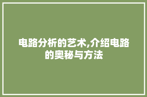 电路分析的艺术,介绍电路的奥秘与方法