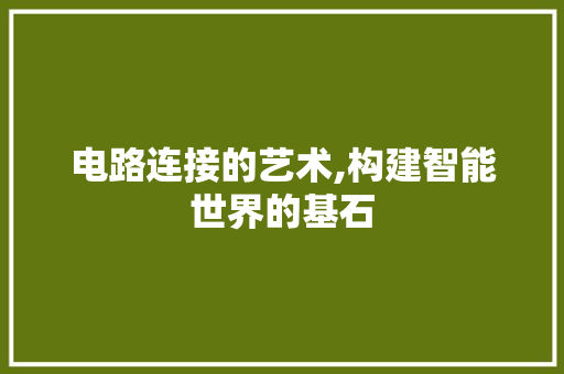 电路连接的艺术,构建智能世界的基石