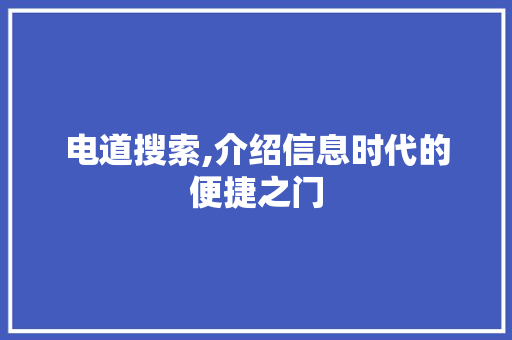 电道搜索,介绍信息时代的便捷之门