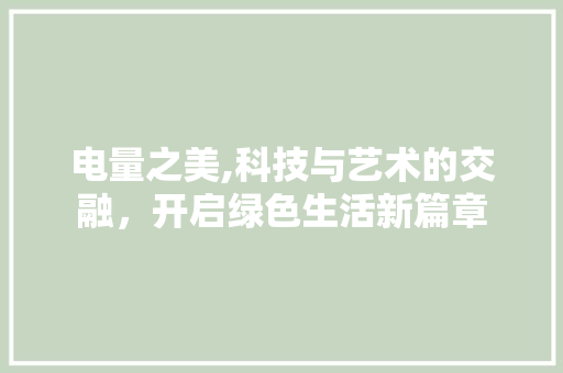 电量之美,科技与艺术的交融，开启绿色生活新篇章