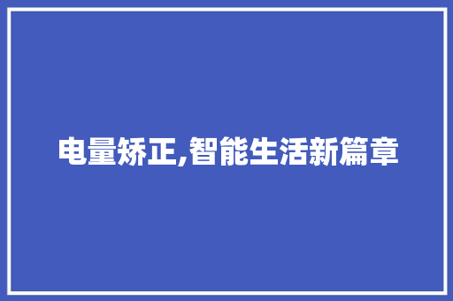 电量矫正,智能生活新篇章 建站教程
