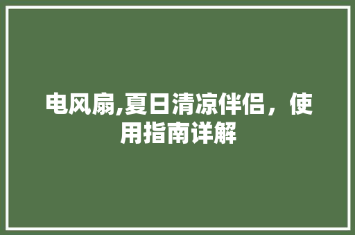 电风扇,夏日清凉伴侣，使用指南详解 建站教程