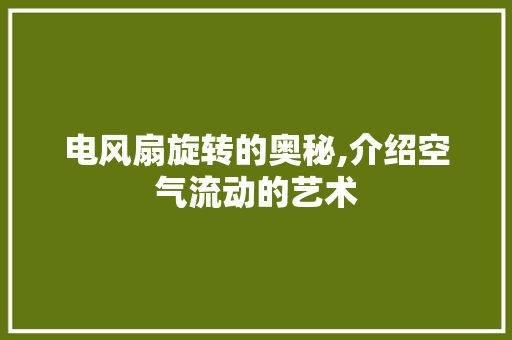 电风扇旋转的奥秘,介绍空气流动的艺术
