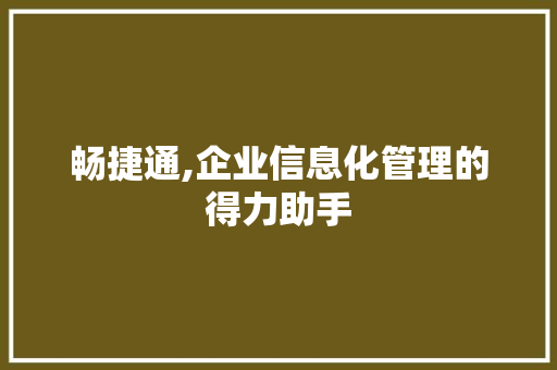 畅捷通,企业信息化管理的得力助手 友链在线