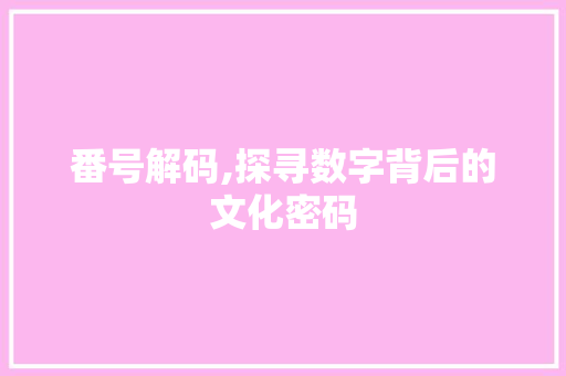 番号解码,探寻数字背后的文化密码
