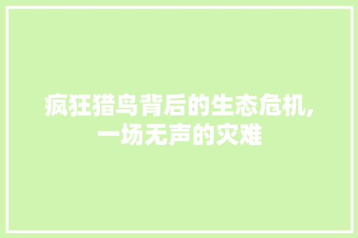 疯狂猎鸟背后的生态危机,一场无声的灾难