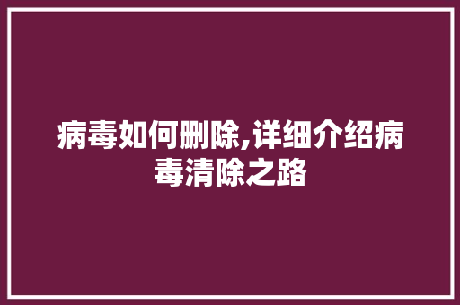 病毒如何删除,详细介绍病毒清除之路