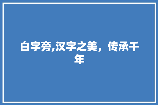 白字旁,汉字之美，传承千年
