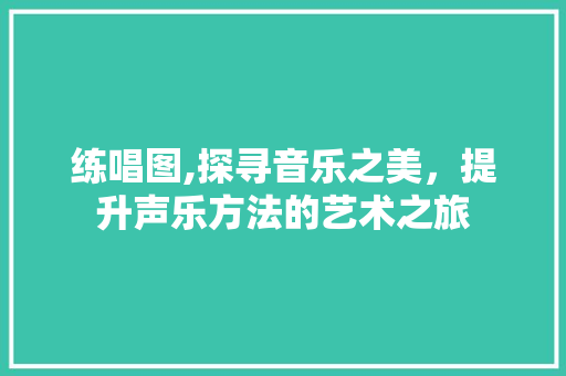 练唱图,探寻音乐之美，提升声乐方法的艺术之旅