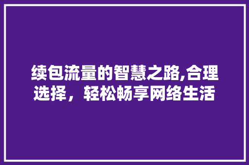 续包流量的智慧之路,合理选择，轻松畅享网络生活