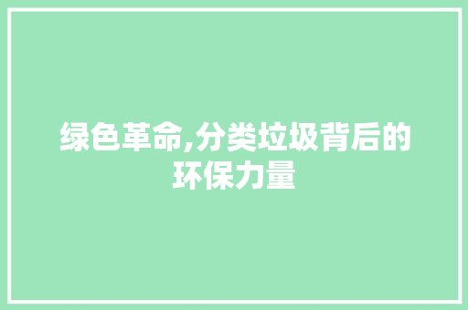 绿色革命,分类垃圾背后的环保力量 建站教程