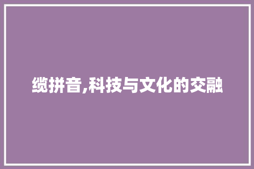 缆拼音,科技与文化的交融 建站教程