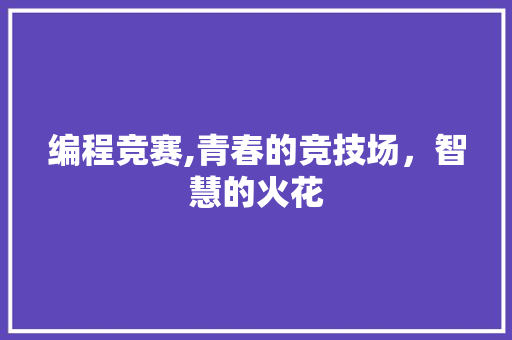 编程竞赛,青春的竞技场，智慧的火花