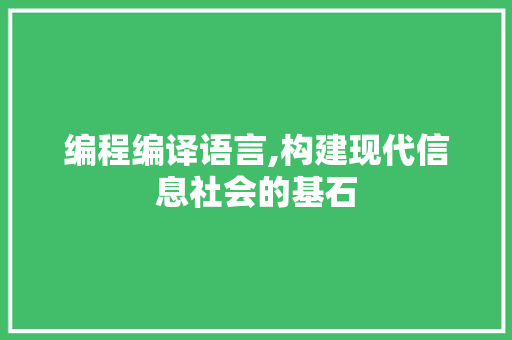 编程编译语言,构建现代信息社会的基石