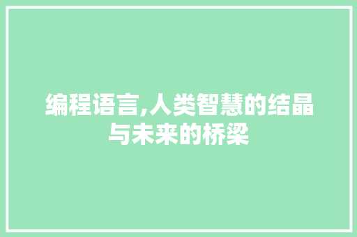 编程语言,人类智慧的结晶与未来的桥梁 SEO教程