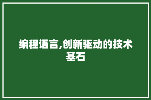 编程语言,创新驱动的技术基石